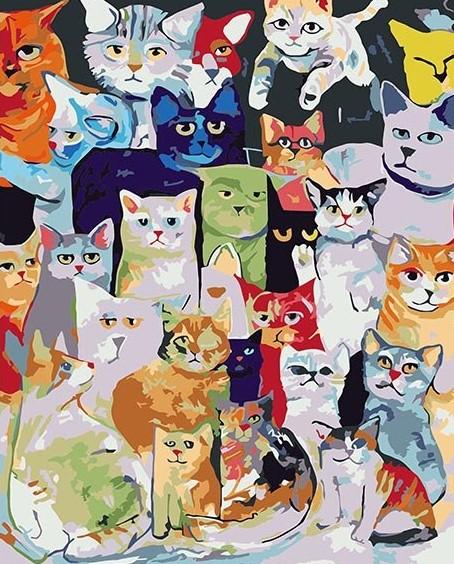 Group of Cats paint by numbers