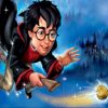 Harry Potter Flying Broom paint by numbers
