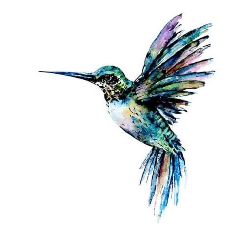 Hummingbird in blue green colors paint by numbers