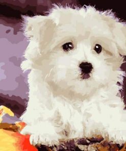 Dog Kits Animals - DIY Paint By Numbers - Numeral Paint
