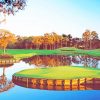 Sawgrass Golf Course paint by numbers