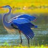 Great Blue Heron Paint by numbers