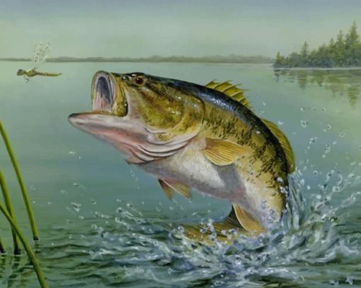 Largemouth Bass Fish Paint by numbers
