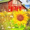 Old Barn And Sunflowers paint by numbers