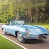 Classic Blue Jaguar paint by numbers