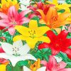 Colorful Lilies paint by numbers