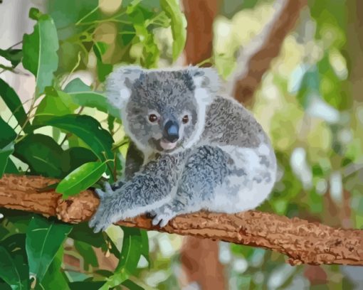 Koala On Tree Branch paint by numbers