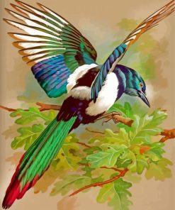 Magpie paint by numbers