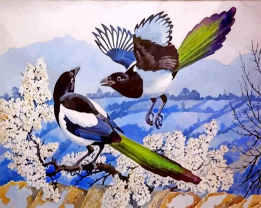 Magpies Birds Illusstration paint by numbers