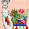 Stylish Alpaca Paint by numbers