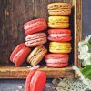 Tasty Macaroons paint by numbers