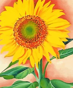 A Sunflower From Maggie George O Keefee paint by numbers