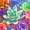 Aesthetic Succulents paint by numbers