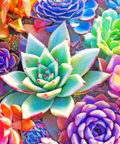 Aesthetic Succulents paint by numbers