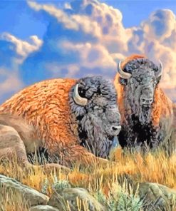 Bison Animals paint by numbers