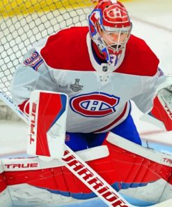 Carrey Price From Habs paint by numbers