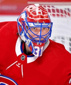 Carrey Price Habs paint by numbers