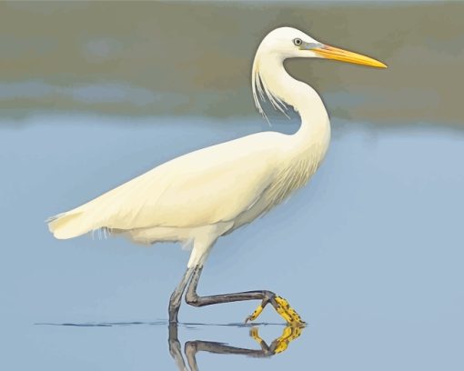 Chinese Egret Bird paint by numbers