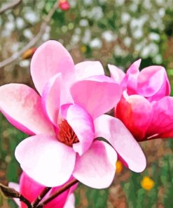 Chinese Magnolia Flower paint by numbers