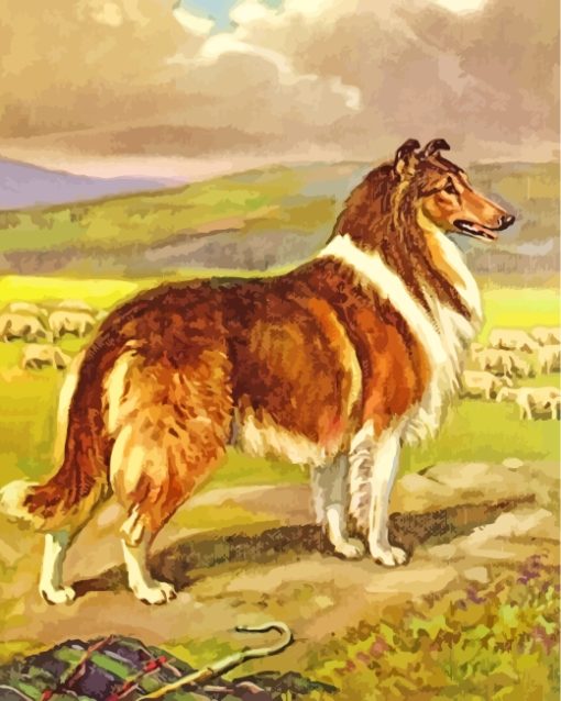 Collie Dog Art paint by numbers