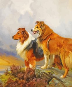 Collie Dogs paint by number