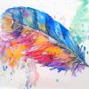 Colorful Feather Art paint by numbers