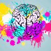Colorful Splash Humain Brain paint by numbers