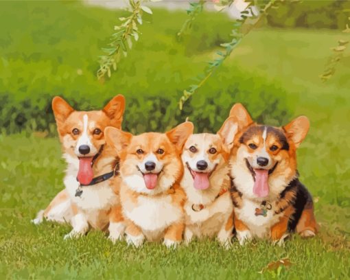 Corgi Puppies Y paint by numbers