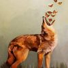 Coyote And Butterflies paint by numbers