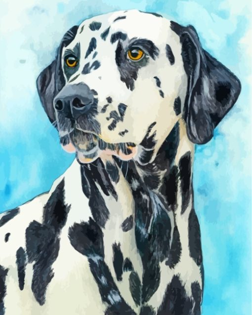 The Dalmatian Dog Art Paint by numbers