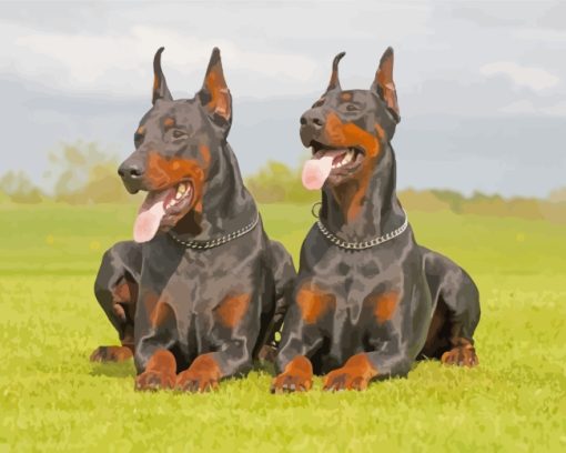 Two Doberman Dogs paint by numbers