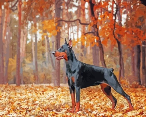 Doberman In Forest paint by numbers