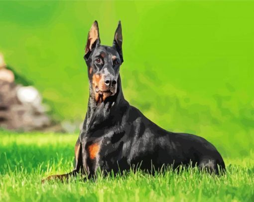 Doberman Dog paint by number