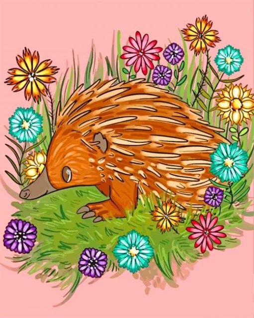 Echidna Illustration paint by number