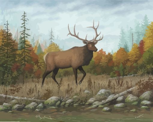 Elk Animal In Forest paint by numbers