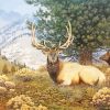 Elk In Forest paint by numbers