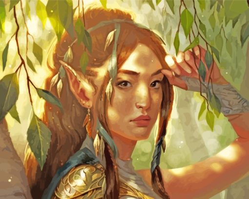 Fantasy Elf paint by numbers