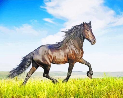 Friesian Horse Animal paint by numbers