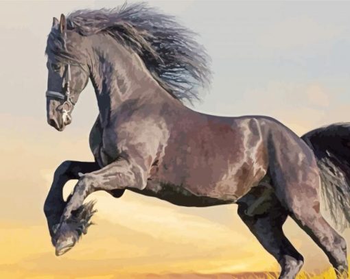 Friesian Horse Animal paint by number