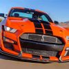 Gt500 Orange paint by numbers