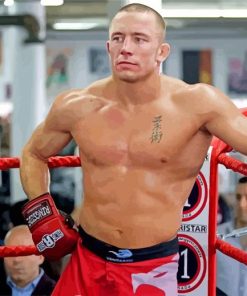 Georges St Pierre paint by numbers