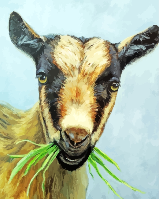 Goat With Grass paint by numbers