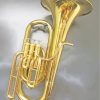 Gold Baritone paint by numbers