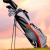 Grey Golf Bag paint by numbers
