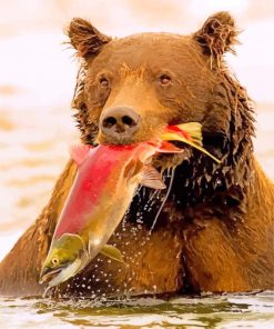Grizzly And Fish paint by numbers