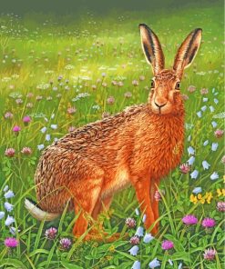 Hare In Meadow paint by numbers