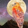 Hawk Bird Moonlight paint by numbers
