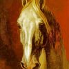 Head Of A White Horse Theodore paint by numbers