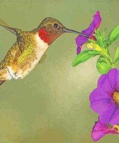 Hummingbird In Purple Flower paint by numbers