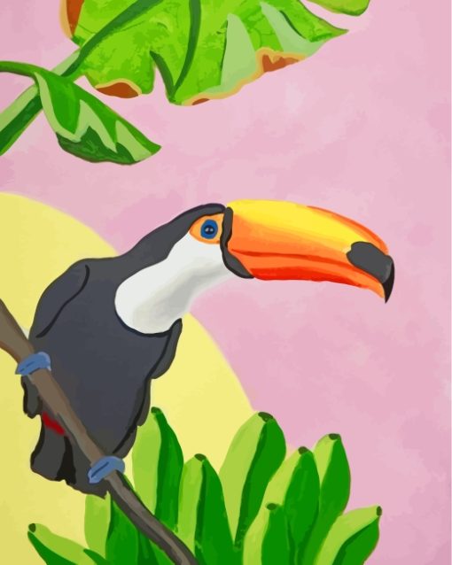 Illustration Toucan Bird Paint by numbers